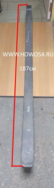 4619